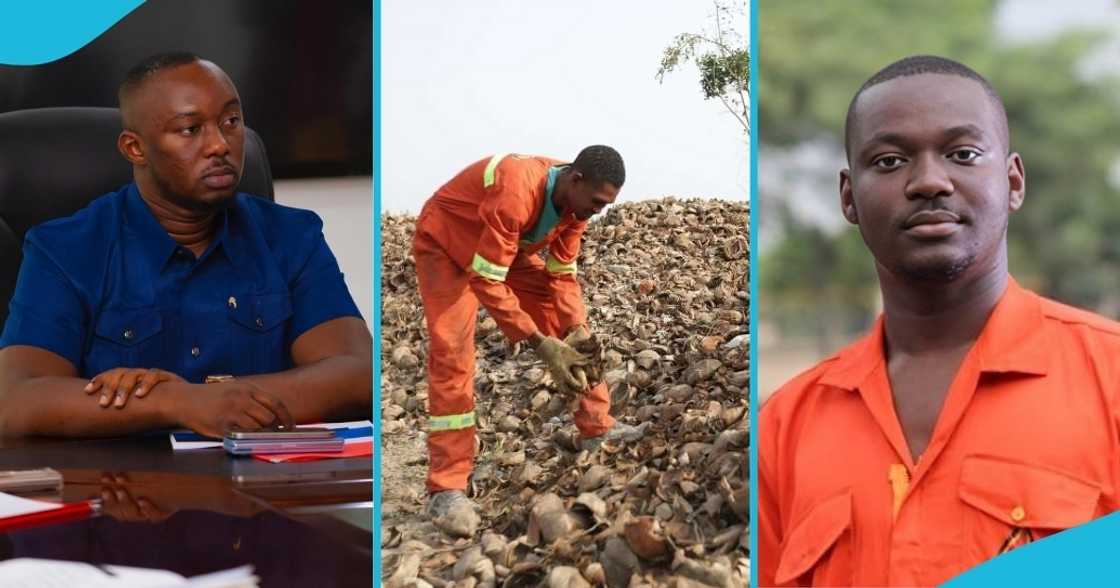 yea, youth employment, malik basintale, zaacoal, job opportunities, MoU, Ceo of YEA, ghana, curb deforestation yea, youth employment, malik basintale, zaacoal, job opportunities, MoU, Ceo of YEA, ghana, curb deforestation