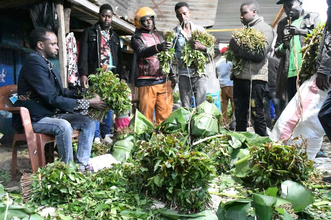 Khat traders show at an open air market in the central Kenyan town of Maua Khat traders show at an open air market in the central Kenyan town of Maua