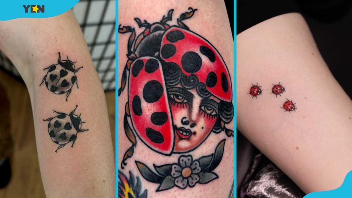 Three variations of the ladybug tattoo