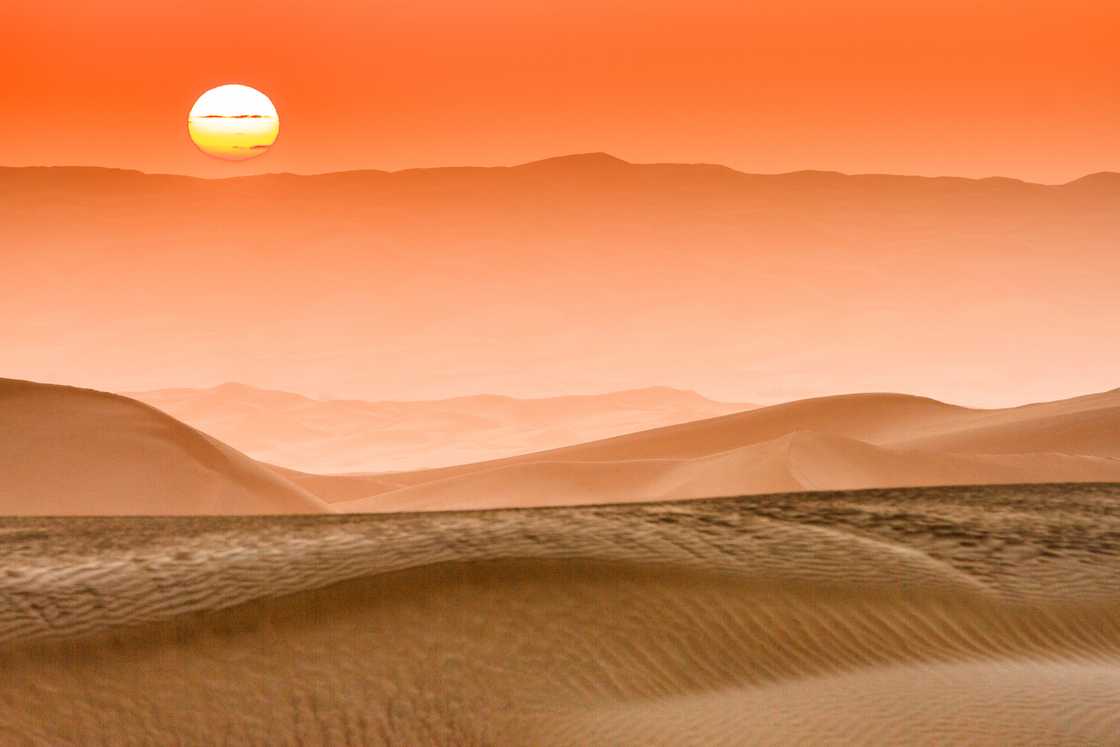 What is the driest desert in the world