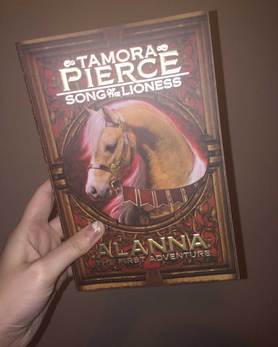 fantasy book series fantasy book series