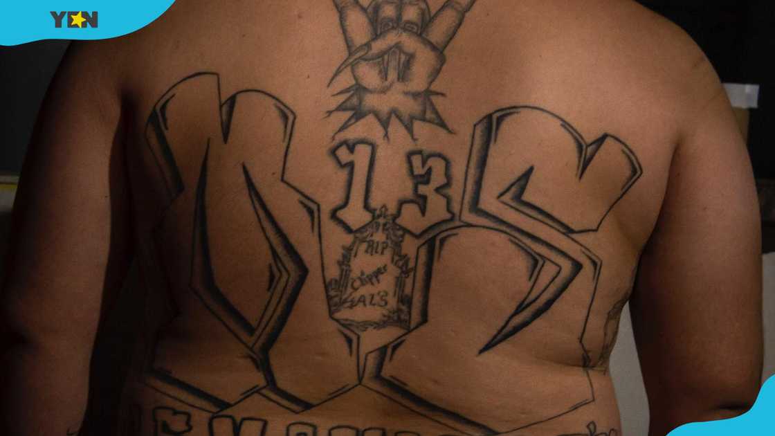 MS 13 gang tattoo