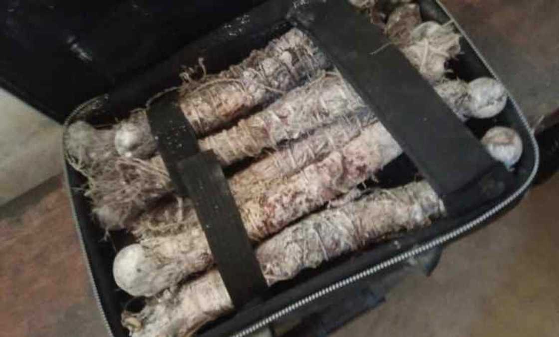 In Eastern Region: Two persons arrested with human parts In Eastern Region: Two persons arrested with human parts