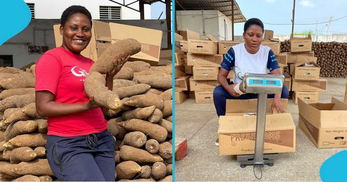 Industrious female Ghanaian farmer delights as she makes 1st export: "Feeling proud" Industrious female Ghanaian farmer delights as she makes 1st export: "Feeling proud"