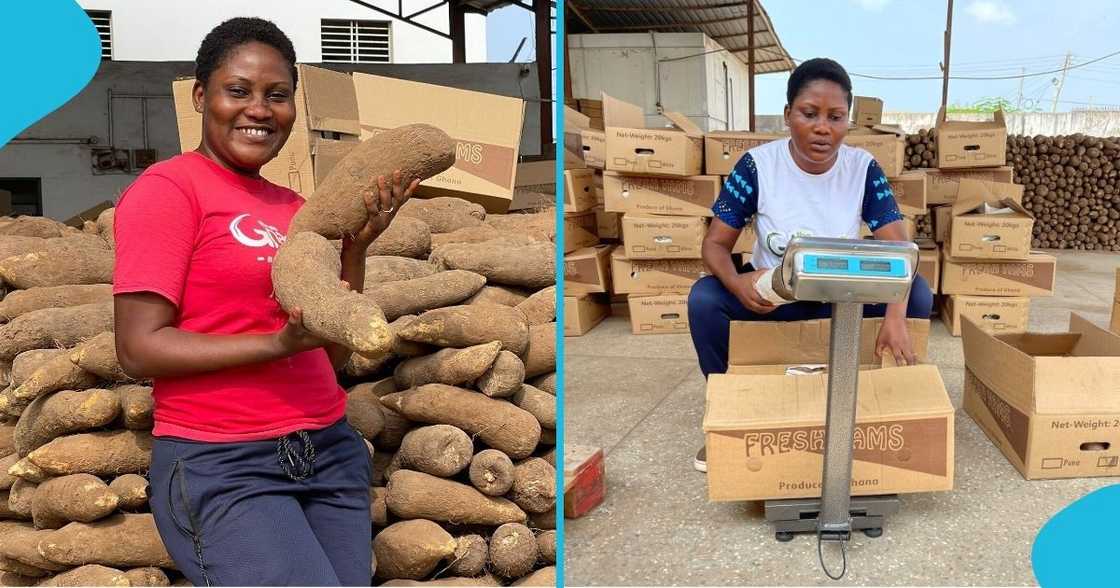 Industrious female Ghanaian farmer delights as she makes 1st export: "Feeling proud"