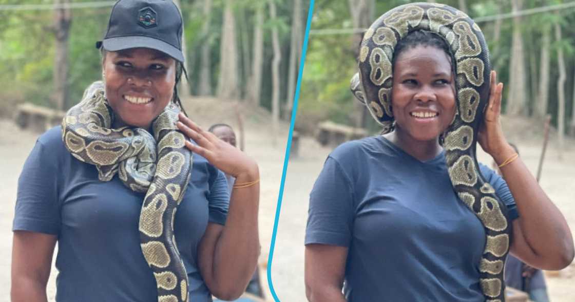 Lady poses with snake around her neck. Lady poses with snake around her neck.