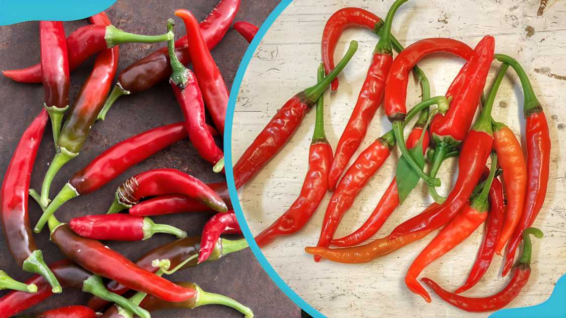 spices in Ghana spices in Ghana