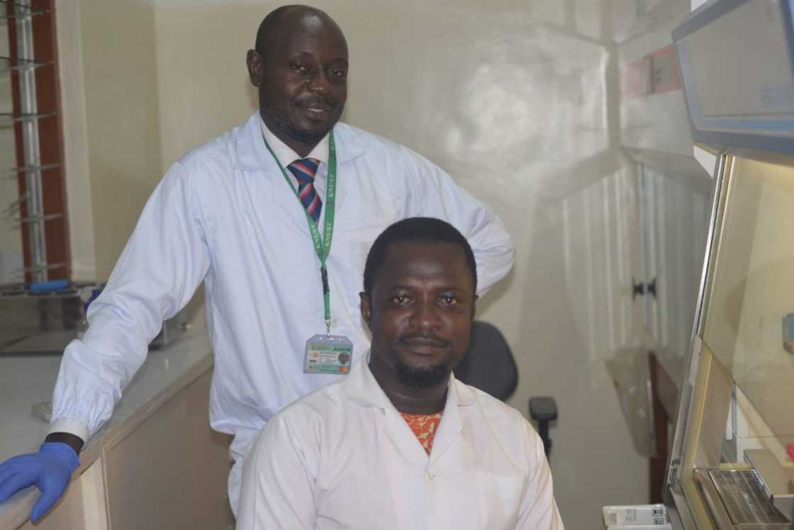 KNUST medical scientists discover cure to Hepatitis B disease KNUST medical scientists discover cure to Hepatitis B disease