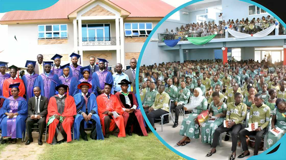 Presbyterian University College courses Presbyterian University College courses