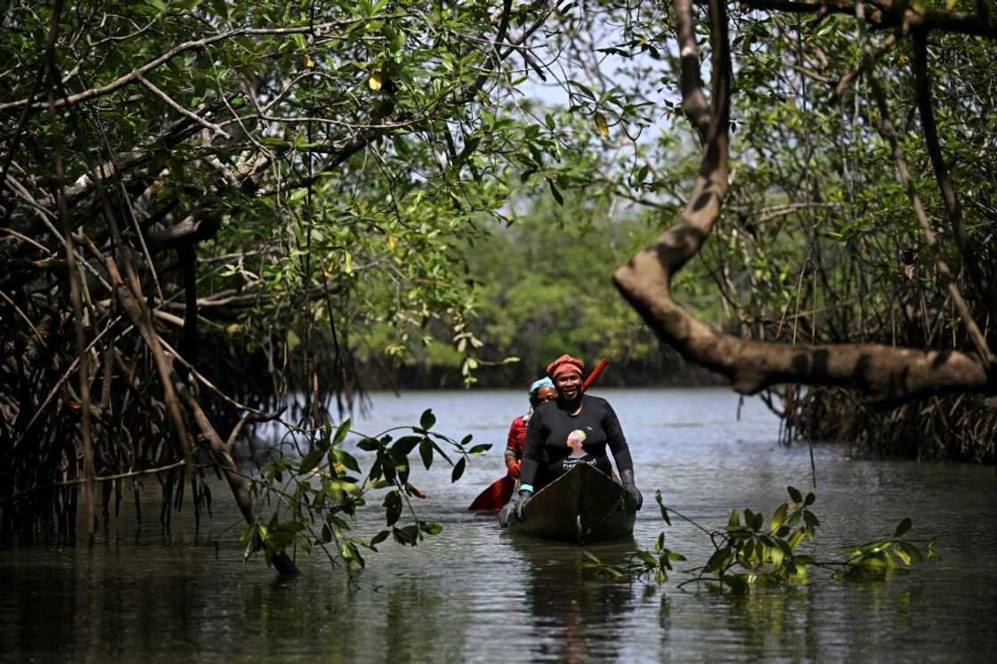 Marcelina Moreno says the port would have brought destruction to the mangroves Marcelina Moreno says the port would have brought destruction to the mangroves