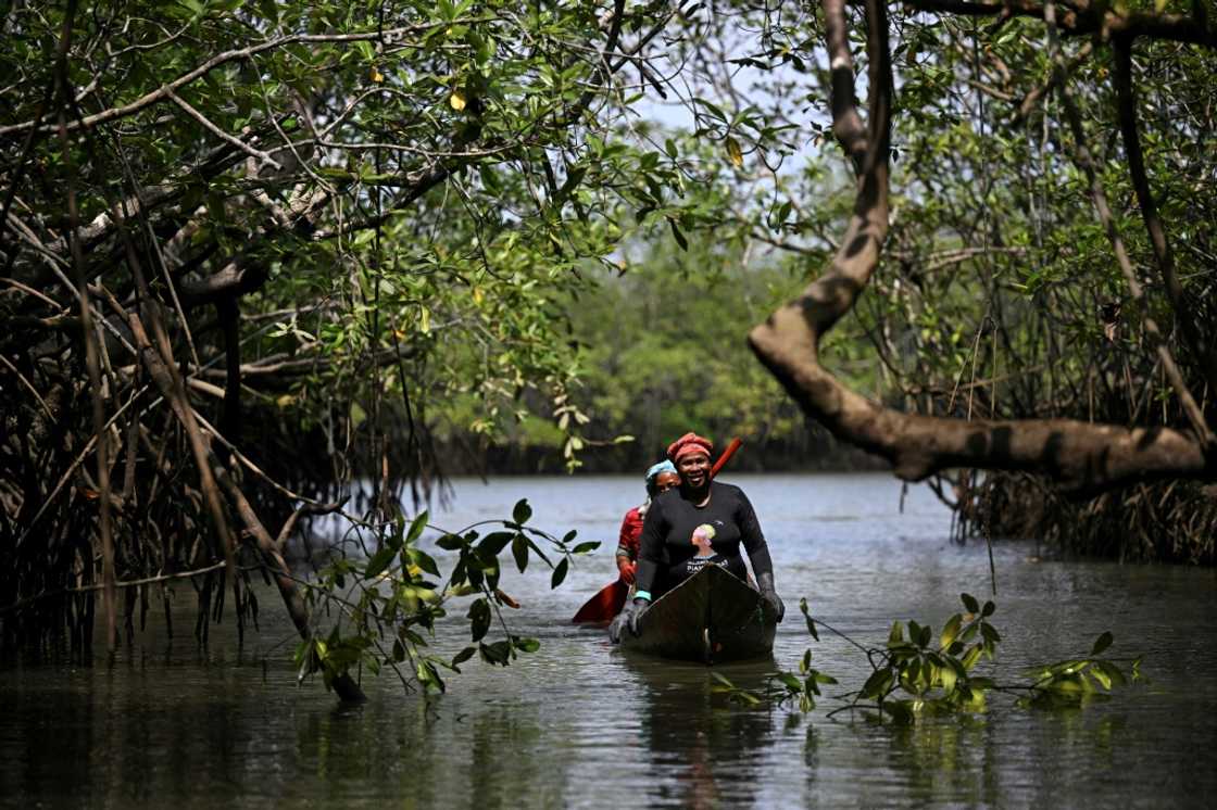 Marcelina Moreno says the port would have brought destruction to the mangroves