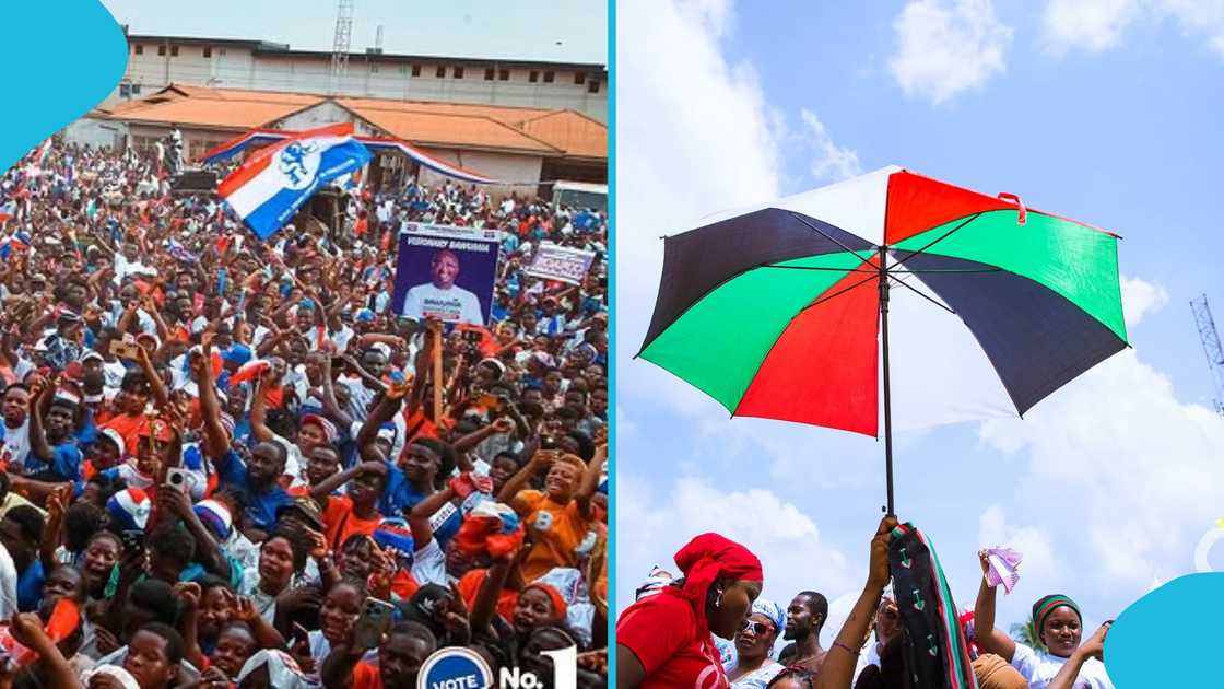New Patriotic Party, National Democratic Congress, NDC, NPP, Party affiliation, Mussa Dankwah, Global InfoAnalytics New Patriotic Party, National Democratic Congress, NDC, NPP, Party affiliation, Mussa Dankwah, Global InfoAnalytics