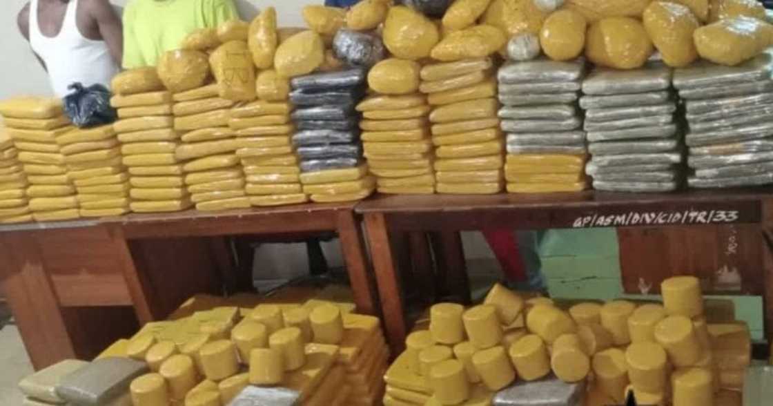 4 suspected narcotics dealers in Ashaiman arrested by police 4 suspected narcotics dealers in Ashaiman arrested by police