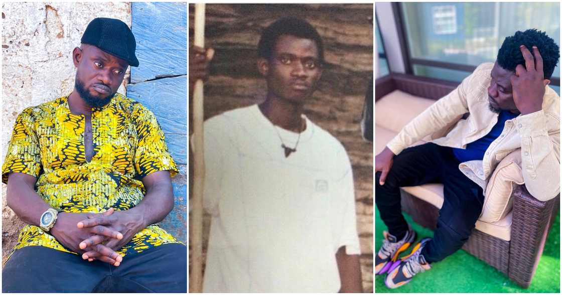 A collage of Bismark The Joke A collage of Bismark The Joke