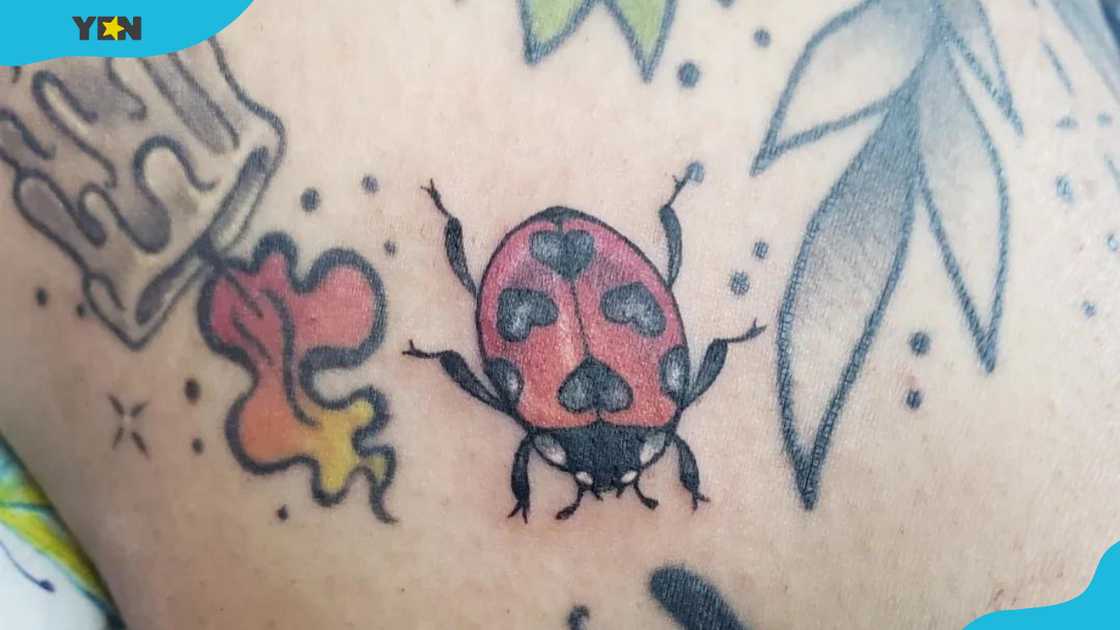 A ladybug tattoo with unique heart-shaped spots