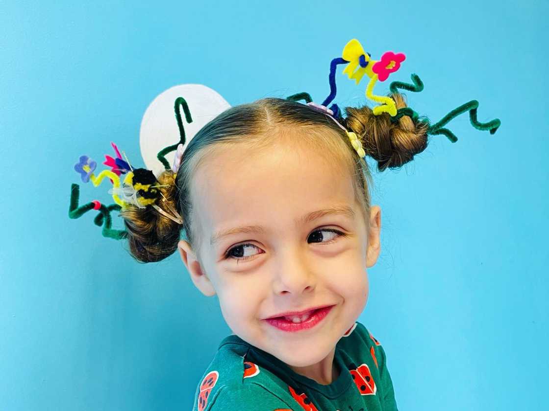 Crazy Hair Day Crazy Hair Day