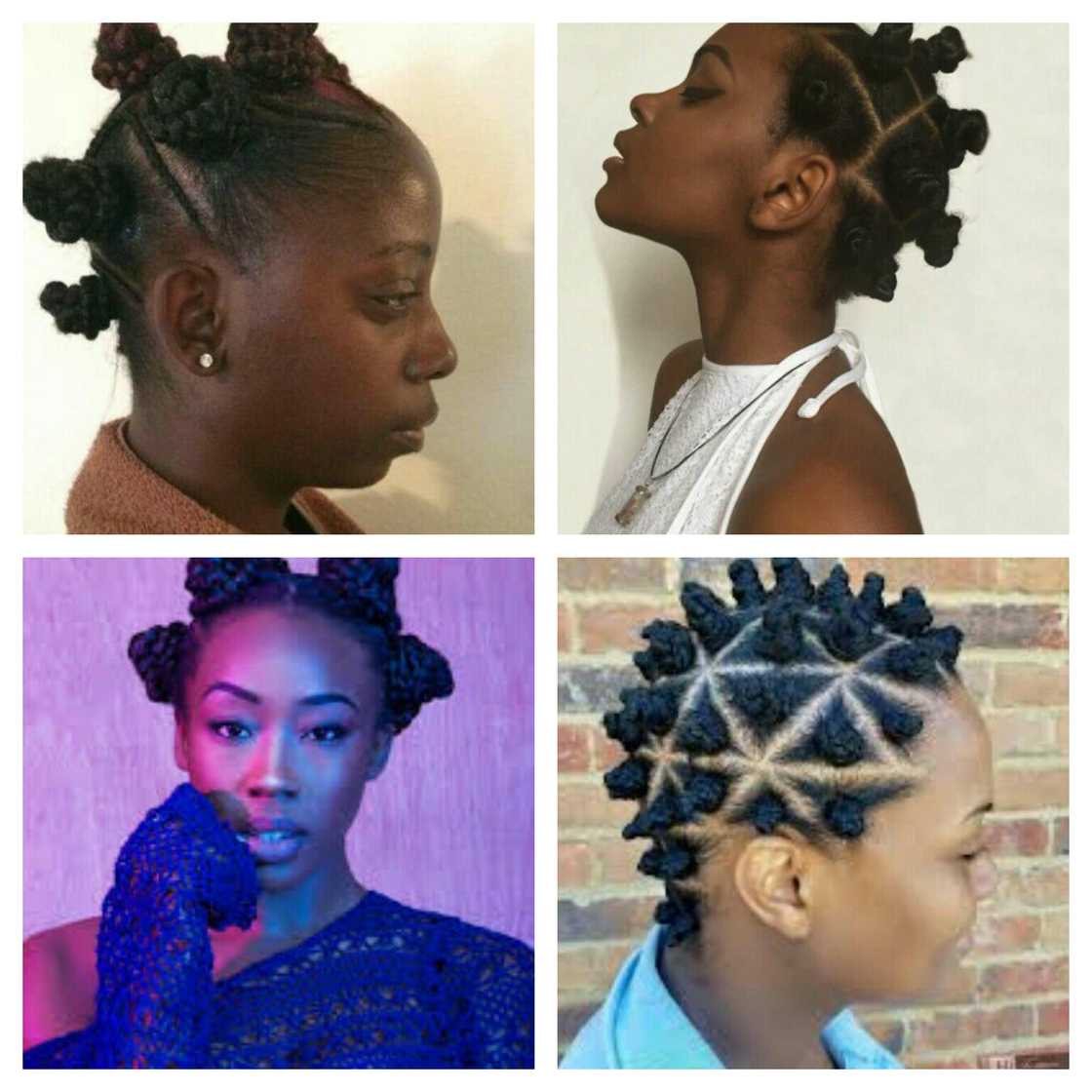 Best natural hair braids hairstyles
bantu knot
cornrow s