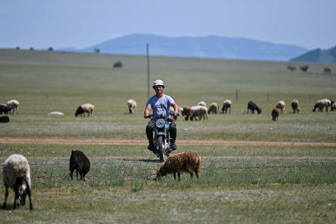 For Khurtsbaatar Enkhbilig, 43, a former publisher, the decision to move to the countryside and become a herder was years in the making For Khurtsbaatar Enkhbilig, 43, a former publisher, the decision to move to the countryside and become a herder was years in the making