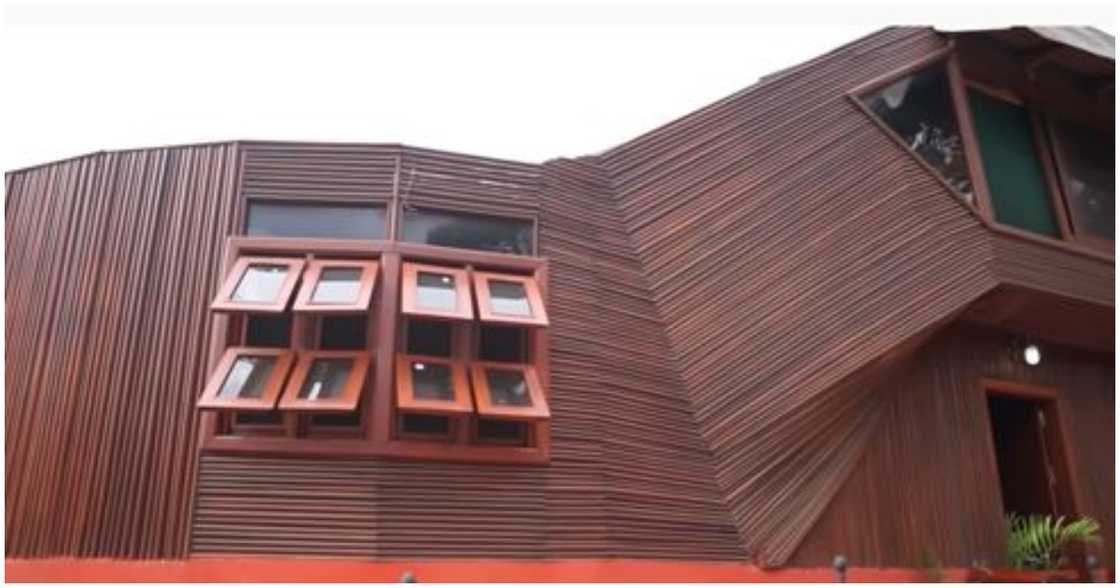 The raffia palm house built by Ophelia The raffia palm house built by Ophelia