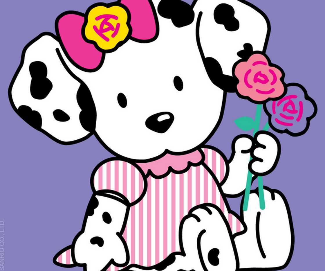 Sanrio character Spottie Dottie