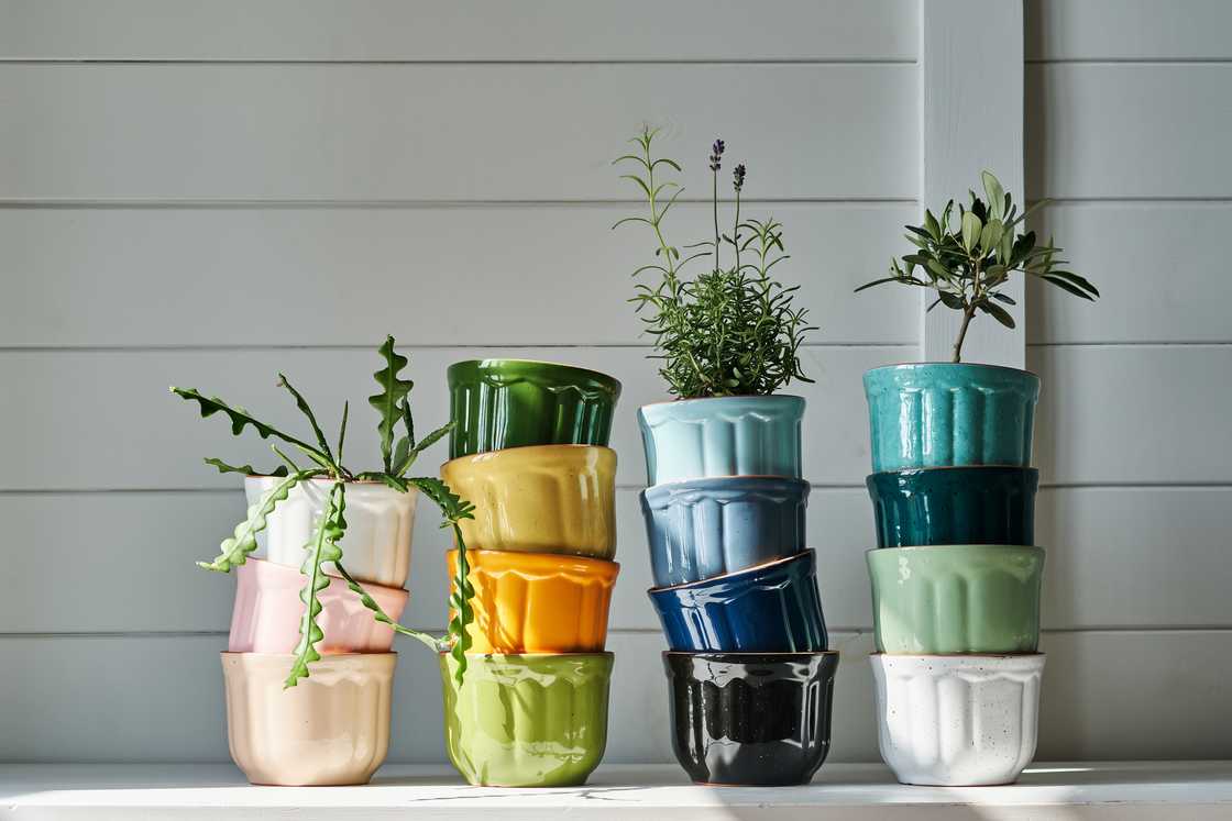 Ceramic planters Ceramic planters
