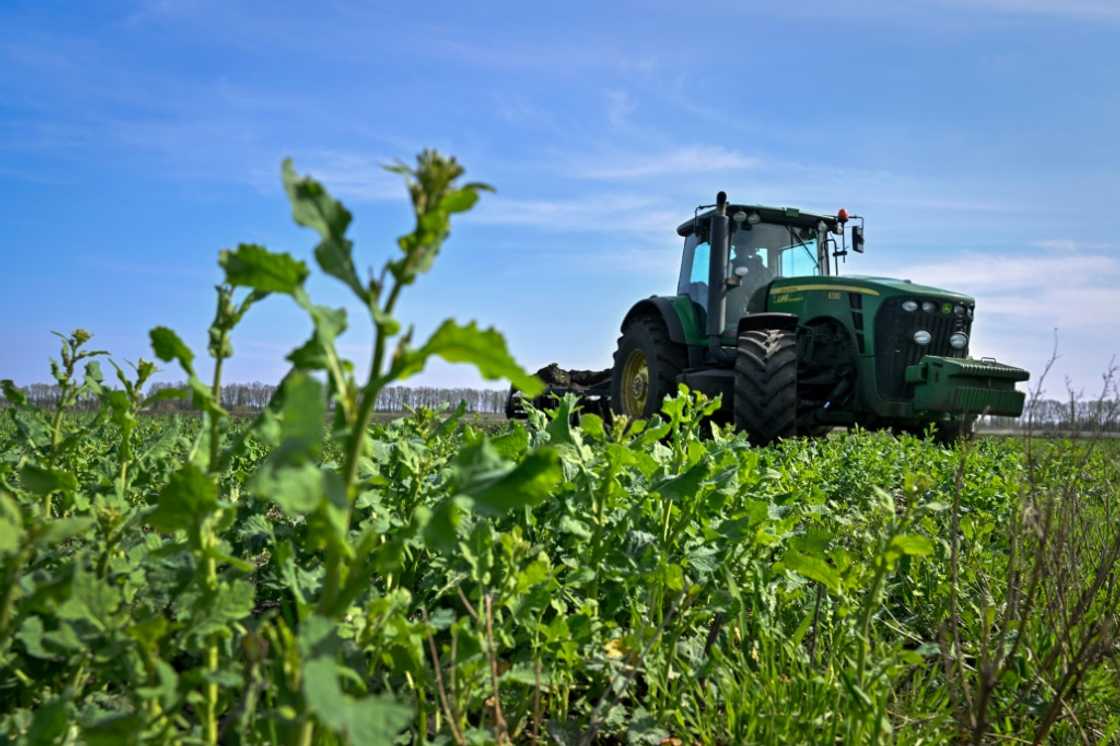 The export of Ukrainian grain and other food products is causing tension in certain eastern EU nations as farmers feel the pinch of competition The export of Ukrainian grain and other food products is causing tension in certain eastern EU nations as farmers feel the pinch of competition