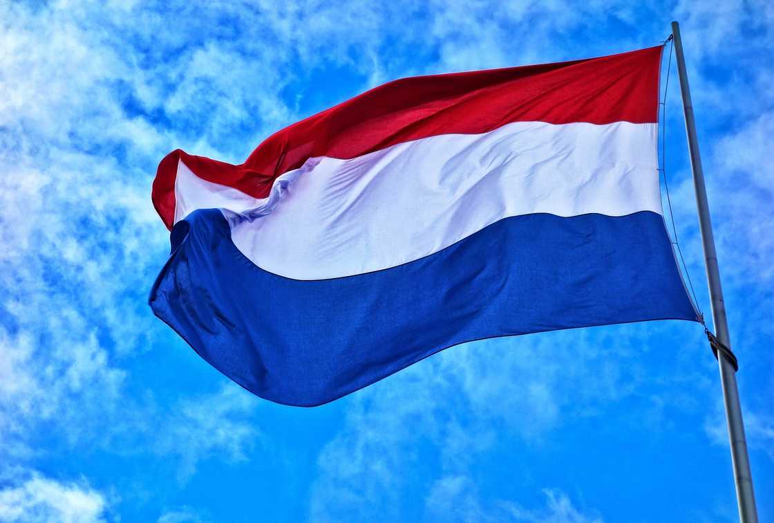 Netherlands flag Netherlands flag