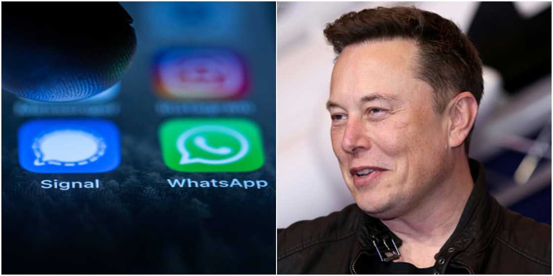 Uncertainties for WhatsApp as app gets rival endorsed by world richest Elon Musk Uncertainties for WhatsApp as app gets rival endorsed by world richest Elon Musk