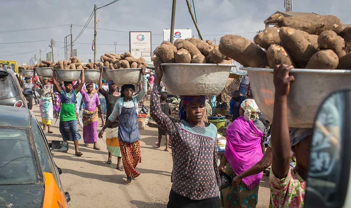 Mole-Dagbon tribe Mole-Dagbon tribe
