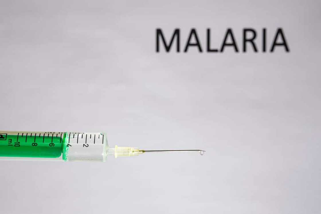 malaria vaccine