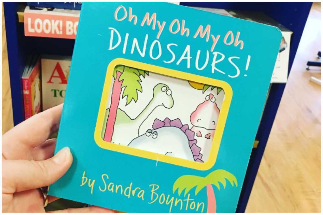 Oh My, Oh My, Oh Dinosaurs! by Sandra Boynton