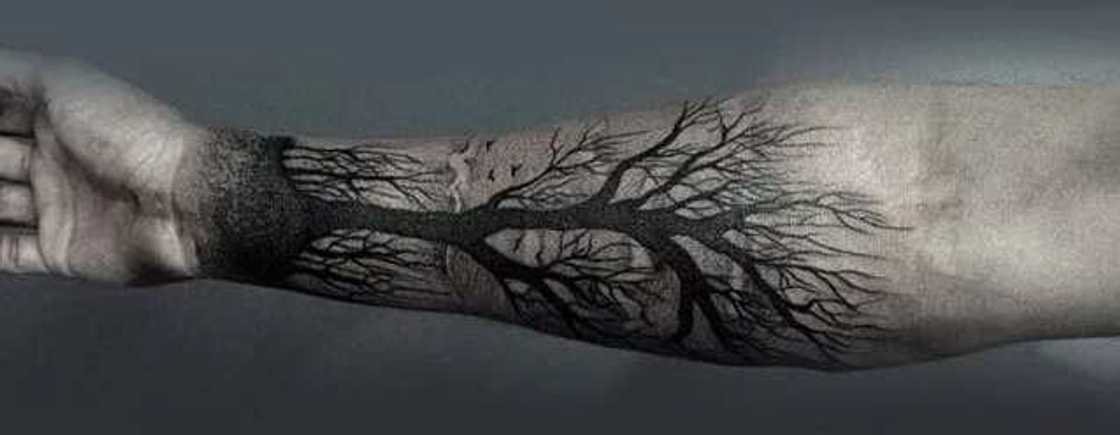 tree of life tattoo ideas tree of life tattoo ideas
