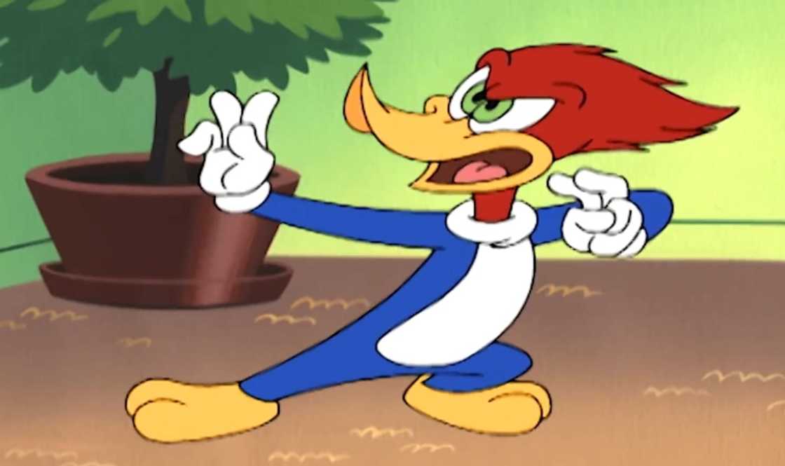 Woody the woodpecker