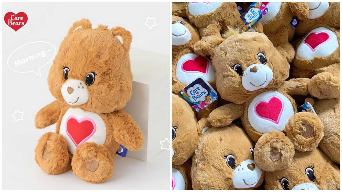 Care Bears names Care Bears names