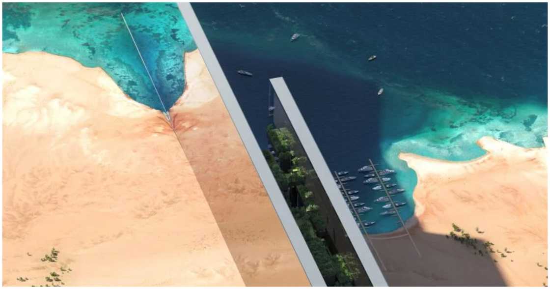 The Line will pass through the Red Sea The Line will pass through the Red Sea