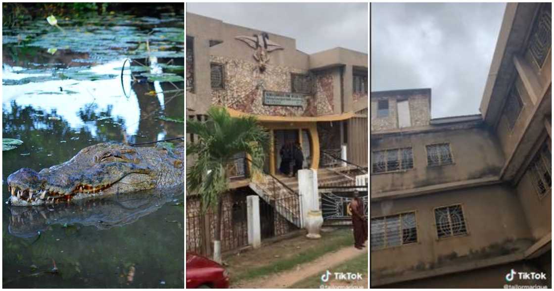 Mansion in Kumasi is surrounded by several rumours Mansion in Kumasi is surrounded by several rumours