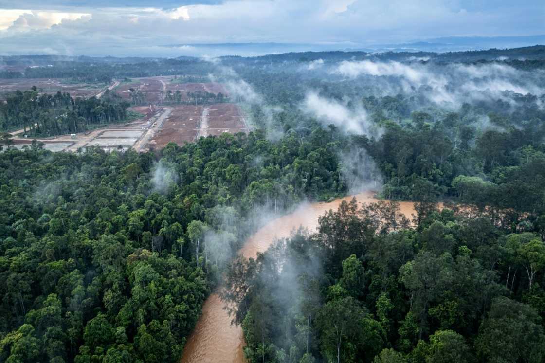 An AFP investigation earlier this year showed the nickel mine's effects on members of one of Indonesia's last isolated hunter-gatherer communities An AFP investigation earlier this year showed the nickel mine's effects on members of one of Indonesia's last isolated hunter-gatherer communities