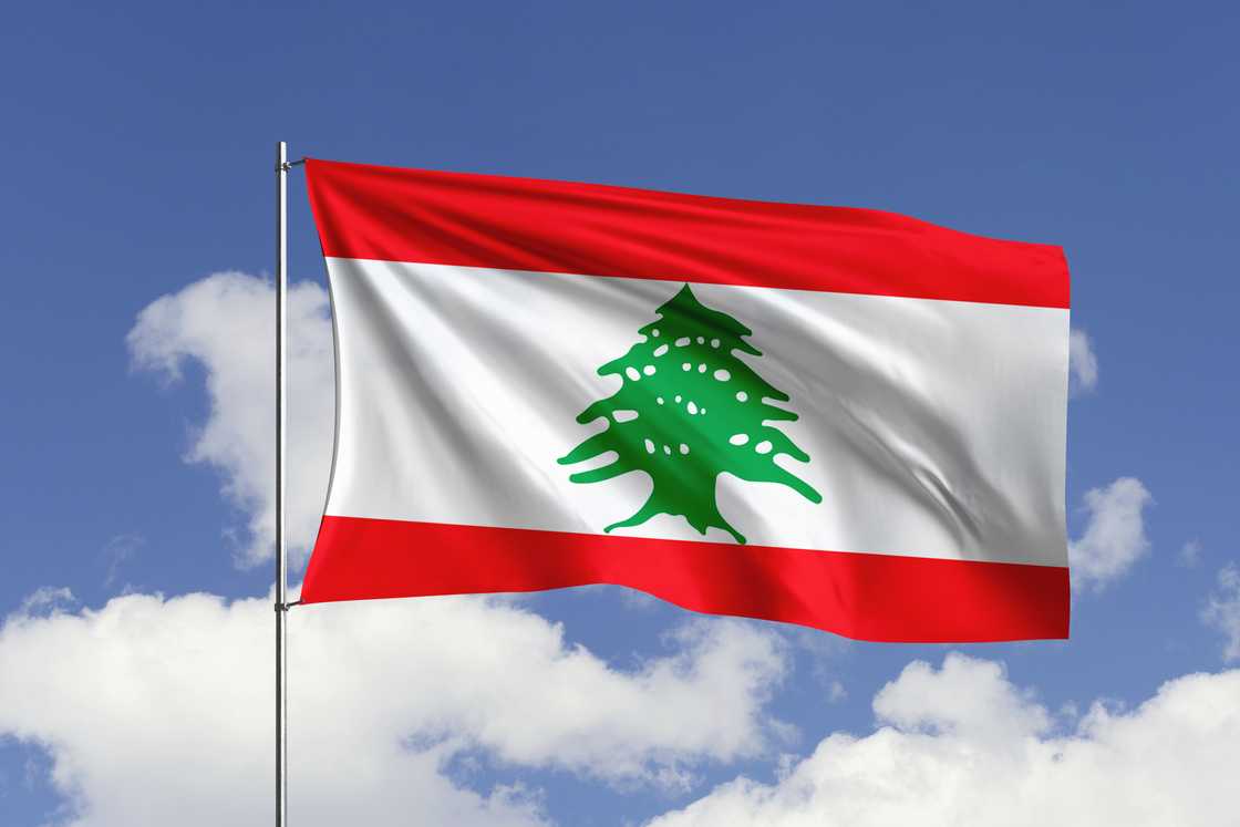 The national flag of Lebanon