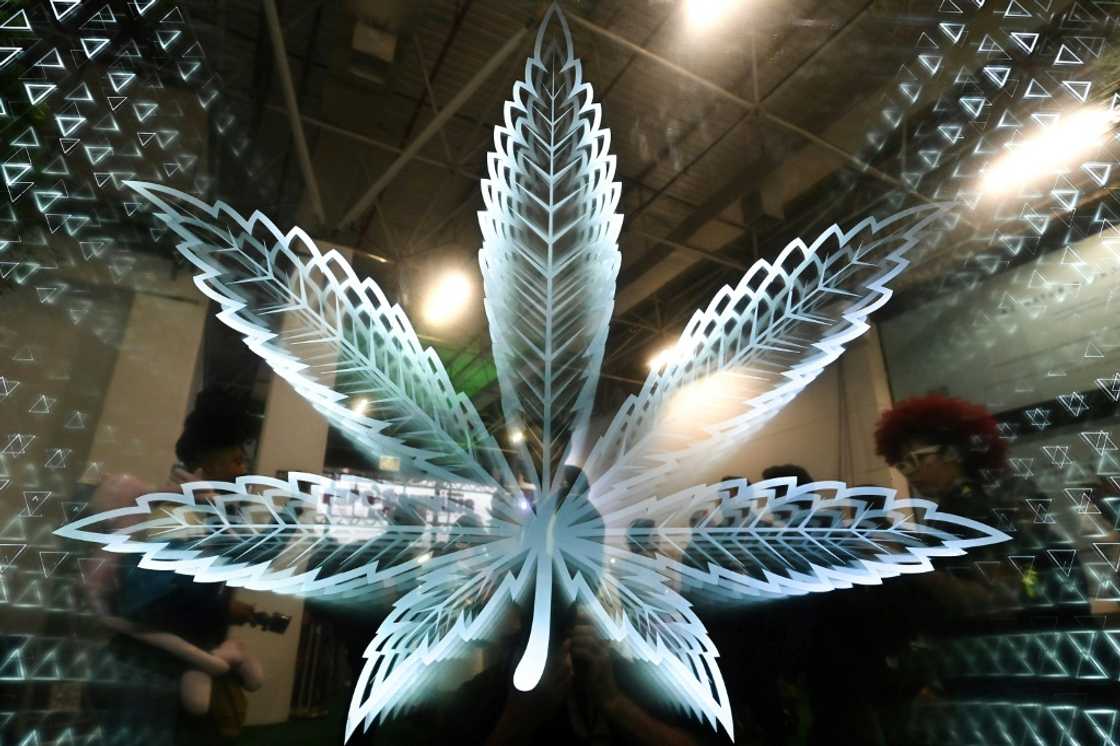 Around 20,000 visitors are expected at the three-day event Around 20,000 visitors are expected at the three-day event