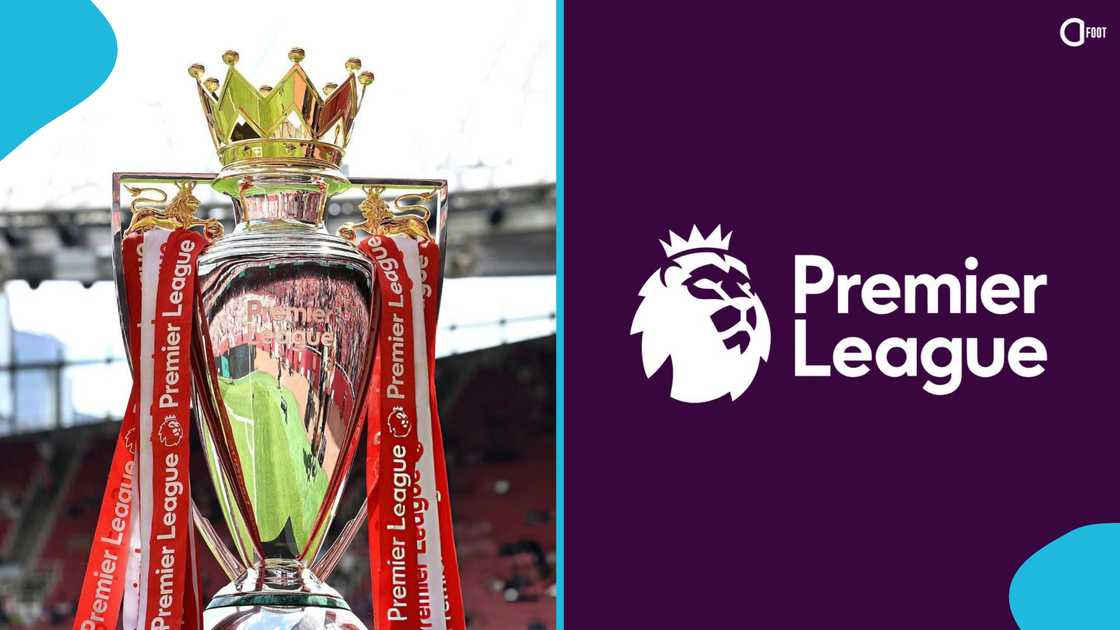 premier league manager, hair transplant, fabian hurzeler, brighton and hove albion, premier league news, football hair transplant