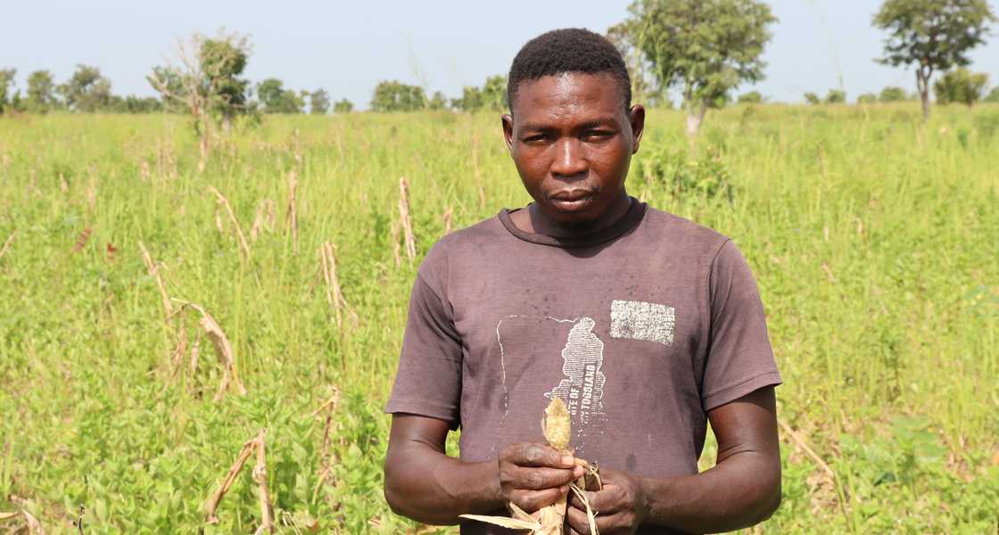 The Northern Region districts The Northern Region districts