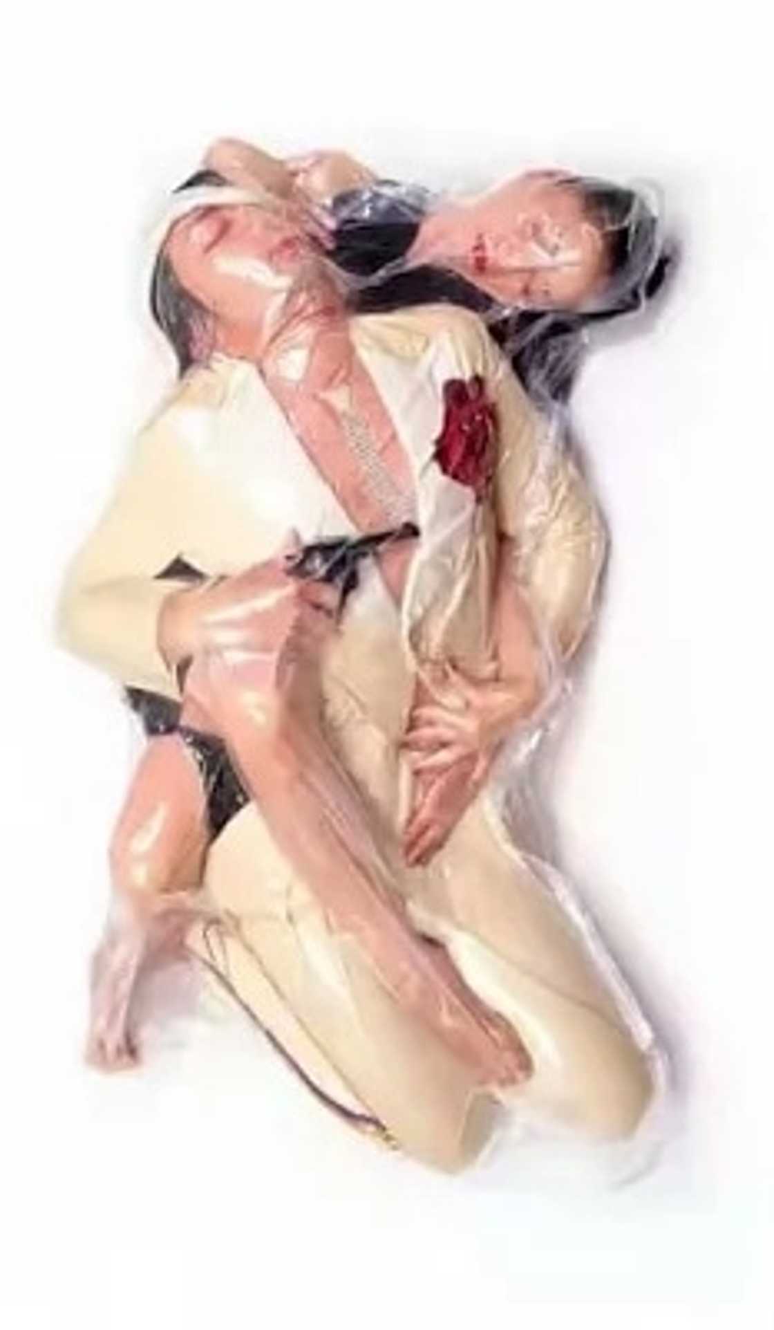 Photographer takes daring photos of couples in plastic bags Photographer takes daring photos of couples in plastic bags