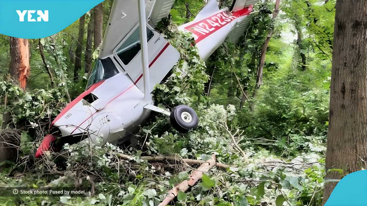 Private aircraft crashes in Maryland woods, leaving three dead