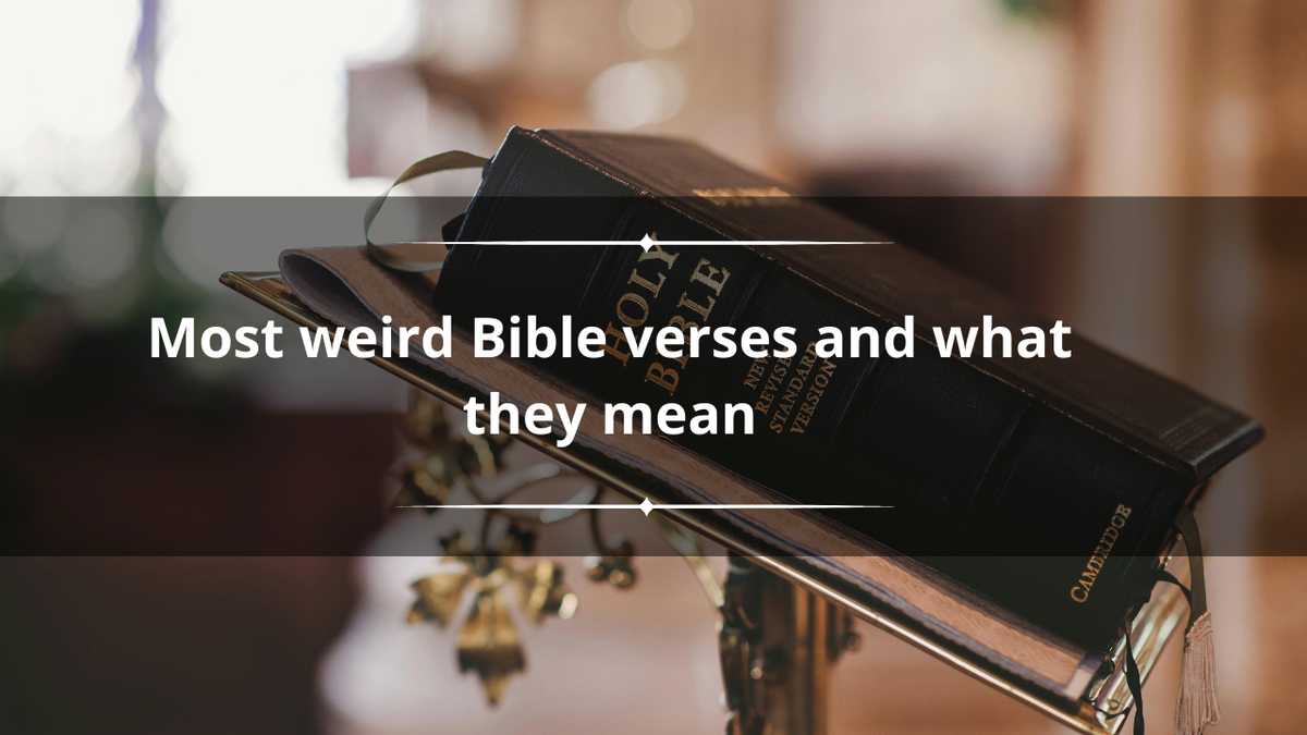 40+ most weird Bible verses that you likely never heard of and what ...