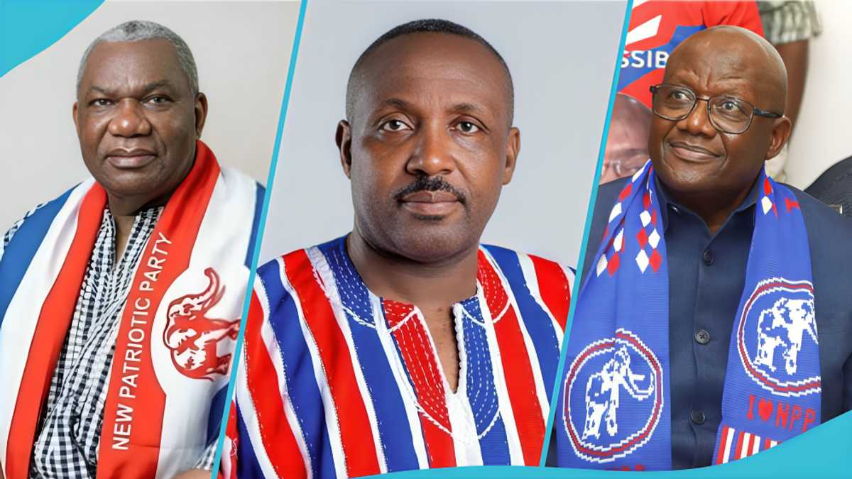 Photo: Yen.com.gh NPP 2026 National Chairmanship race