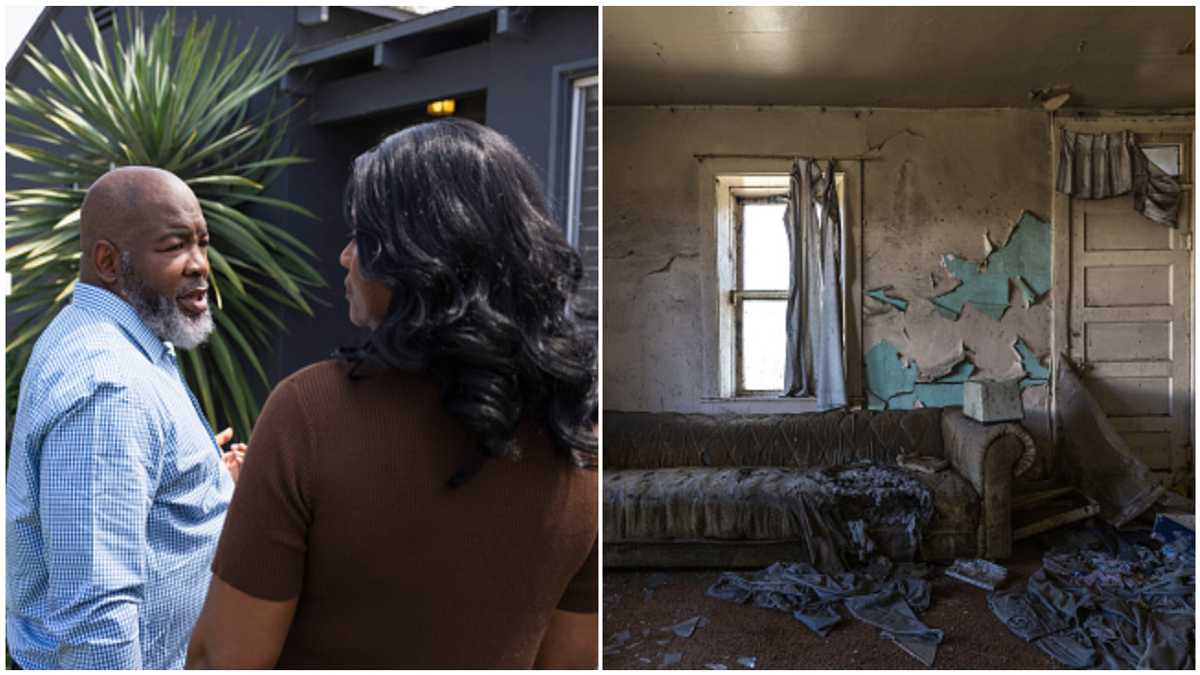 No Renovation, Pest Problems, And Other Factors That Can Warn Against ...