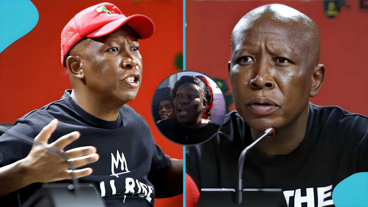 “Is he a prophet?”: Julius Malema praised after anti-immigration warning appears to come true