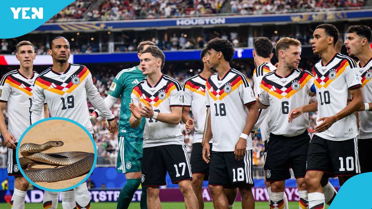 World Cup 2026: Huge concern as Snake storms Germany training camp