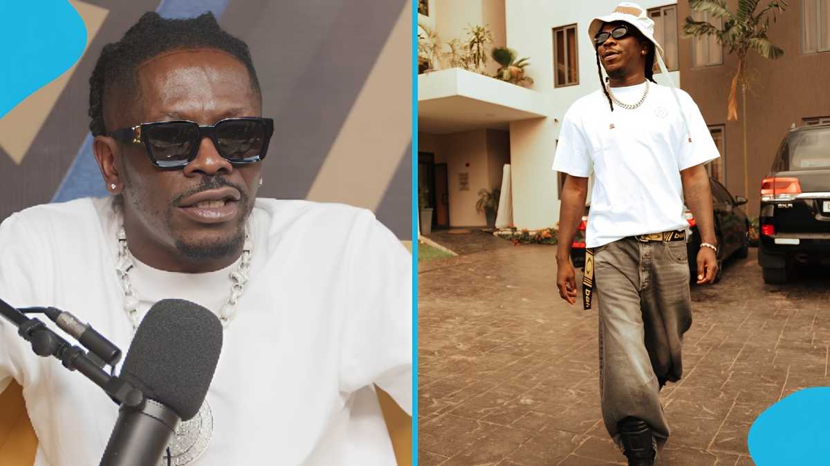 "Herh, tactics paa nie": Fans believe Stonebwoy pulled a clever move amid Shatta Wale feud