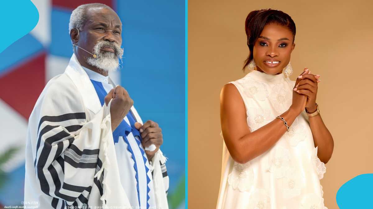 Adom Kyei Duah vows to punish NPP over constant Diana Asamoah attacks, video